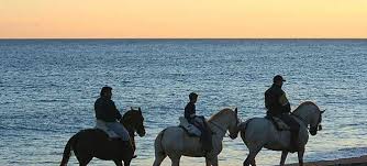 Os utilizadores da momondo elegeram cidade da praia como a cidade mais popular, que queres visitar cabo verde? Pferdesport Offizielle Tourismus Webseite Von Andalusien