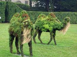 ( across 3 accounts wa.cards wa.cards has no other items for sale. Pin By Dhouha Khirigi On Secret Garden Topiary Garden Topiary Urban Garden