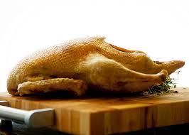 نتیجه جستجوی لغت [canard] در گوگل