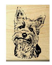 Valve diffuser head water for machine coffee saeco spare parts door filter nina. Yorkie Gifts 15 Adorable Gifts For Yorkie Lovers Rover Com