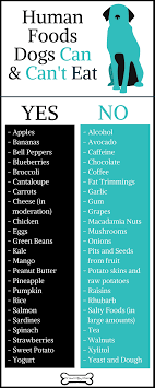 The Human Foods Dogs Can Eat Plus The Ones They Can T Foods Dogs Can Eat Human Food Diet Dog Food