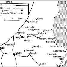 Image result for Aneilema brunneospermum