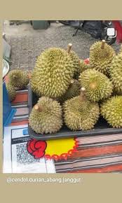 Kulit berikut ini penjelasan khasiat durian merah : Durian Udang Merah Cod Isi Shj 1kg Rm105 Home Furniture Furniture On Carousell