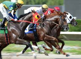 horse racing tracks gulfstream park west racetrack in miami gardens florida formerly known as calder race course gu horse racing track magic city race track