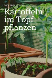 Pin Auf Kartoffeln Anbauen Pflegen Ernten Und Lagern