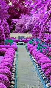 Love Spells Money Spell Protection Spell Voodoo Spell Hex Removal Lost Love Spells Witchcraft Spell C Jardines Bonitos Pintura De Jardin Hermosos Paisajes