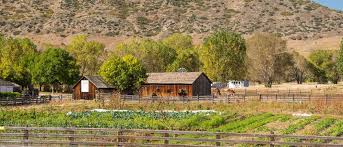 Denver botanic gardens began as the dream of local gardeners, botanists and civic leaders to build an oasis in the. Denver Botanic Garden Chatfield Ela Family Farms