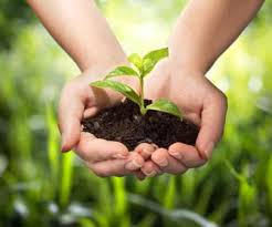 10 world environment day photos with message. World Environment Day 2019