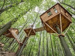 La Casa Del Arbol No Apta Para Ninos Cultura Colectiva Hermosas Casas De Arboles Casa Del Arbol Casas De Campana