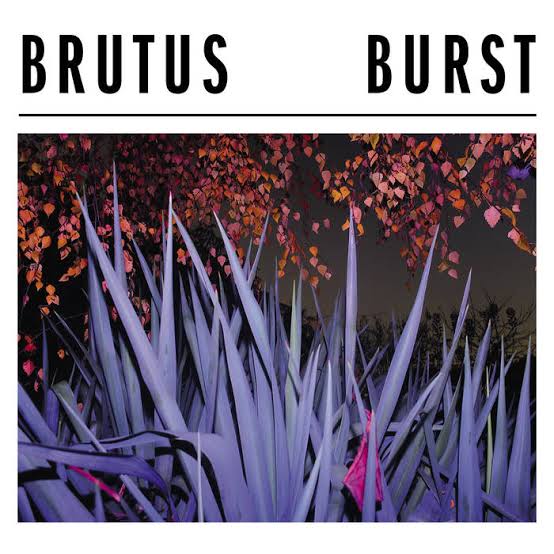 Pochette de Burst 