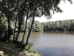 Maybe you would like to learn more about one of these? Freizeitbereich Steinbachtalsperre