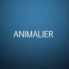 Merci, mais je suis déjà au courant que l'on peut faire des études vétérinaires en belgique. Formation Metiers Animaliers Formation Suisse Romande Animaux