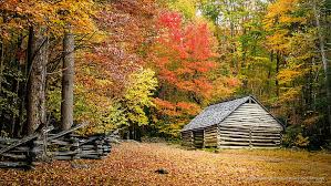 The park preserves many of the fields where. Hd Wallpaper Fall Foliage Great Smoky Mountain National Park Tennessee Wallpaper Flare