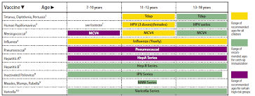 Recommended Immunization Schedules For Persons Aged 0