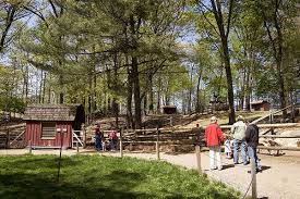 Ponies are available with backyard zoo which are hand walked or ponies on a carousel for those larger events Dining Out Family Vacation Destinations Family Summer Vacation Road Trip Usa