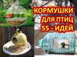 кормушка для птиц из пластиковой бутылки 5 литров фото Kormushka Dlya Ptic Svoimi Rukami 55 Interesnyh Idej Youtube Kormushka Dlya Ptic Samodelnye Kormushki Pticy