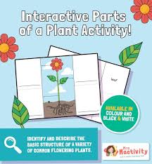 Interactive Parts Of A Plant Activity Mrs Mactivity In 2020 Plant Activities Parts Of A Plant Activities