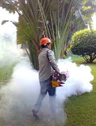 Ltd nėra vienintelė prasmė pci. Best Pest Control Services For Termite Near Me Nearmetrade