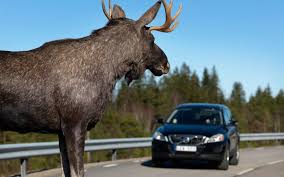 truck driving training courses strategically placed san antonio texas standard truck include every part necessary to get commerc moose spanish english animals pinterest