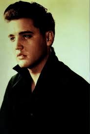 Pin by Darcie Harris