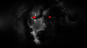 Black Lion Google Search Wallpaper Hitam Dan Putih Awan Bepergian