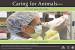 Animal Husbandry Png