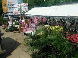 My car shut down on 12.18.2018 while i was in traffic near the garden center. Ed S Garden Center 1720 New York Ave Ne Washington Dc 20002 Usa