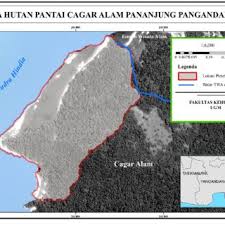 Revisit the lonely unspoiled beach for an overnight camping,try luck of fishing. Pdf Pemodelan Efektivitas Hutan Pantai Di Cagar Alam Pananjung Pangandaran Sebagai Buffer Tsunami