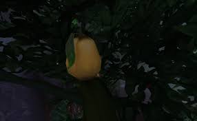 Treasure Strange Fruit Quest World Of Warcraft