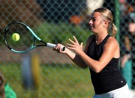 Image result for Emilia schinzii