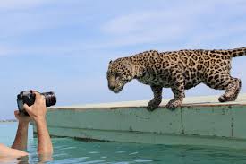 Pin By J Adoreable Jen On Bucket Dream Roatan Honduras Roatan Honduras Roatan Cruise Vacation Outfits