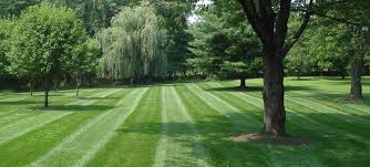 Maybe you would like to learn more about one of these? Green Acres Lawn Care Home Facebook