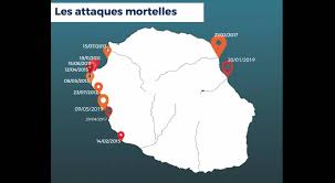 L'union internationale pour la conservation de la nature. Faits Divers Infographie Depuis 2011 11 Attaques Mortelles De Requin Ont Ete Recensees Clicanoo Re