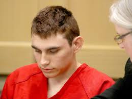 Image result for florida passes gun bill