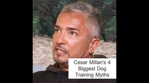 Cesar Millan’s 4 Biggest Dog Training Myths
