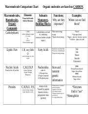 macromoleculescharts docx macromolecule comparison chart