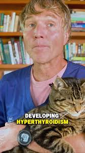 Magnesium is Awesome for dogs: Top 3 Benefits