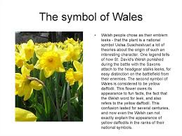 The bull was a very common symbol used in ancient celtic times. Symbols Uk Prezentaciya Onlajn