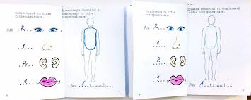 Pagini de colorat gratuite pentru copii şi adulţi. CÄrticica Despre Mine Corpul Meu Materiale Didactice De 10 Zece