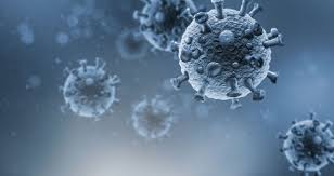 Primeiros casos foram confirmados pela secretaria de saúde do estado. Variante Indiana Del Coronavirus Buone Notizie Su Pfizer E Moderna