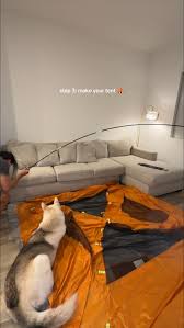 How to Make A Tent Movie Night in Home ...