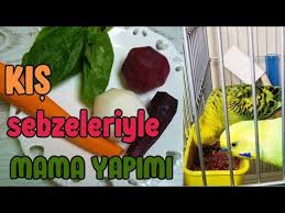 kis sebzeleriyle muhabbet kusu mama yapimi youtube sebzeler manti muhabbet kuslari