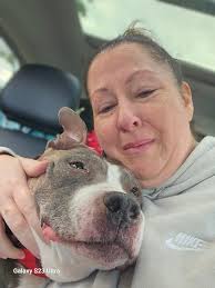 Hi All, You may see Articuno all over