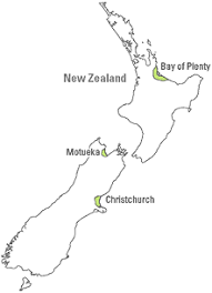 When to plant kiwi i've always planted my kiwi in spring once the last frost has passed. Growing Information Nz Kiwiberry