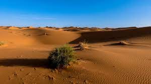 Sahara Desert Sand Sky 4k Sand Sahara Desert Wallpaper Earth Heart Wallpaper Sky