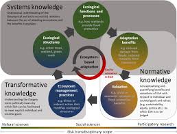 Cascades Of Green A Review Of Ecosystem Based Adaptation In Urban Areas Sciencedirect