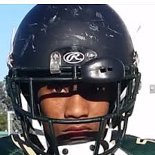 Aaron Magee's Narbonne High School Bio