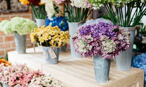 >>click here to visit bunches.co.uk<<. Home Byfords