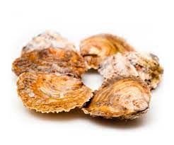 Ostra Plana 6uds Mariscos Daporta