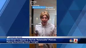 Remy este un tânăr șoarece al cărui vis este să devină maestru bucătar. North Carolina Native In Ratatouille The Musical